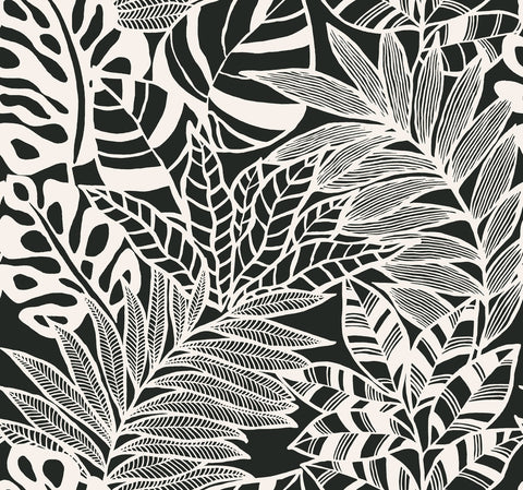 SS2575 Black White Jungle Leaves Wallpaper