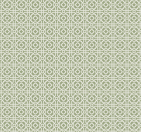 SS2601 Green Pergola Lattice Wallpaper