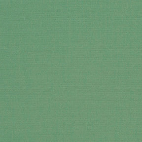 Sunbr 46" 4688 Basil Fabric