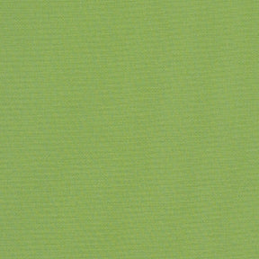 Sunbr Furn Solid Canvas 54011 Gingko Fabric