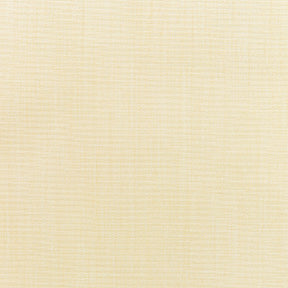 Sunbr Furn Solid Canvas 5498 Vellum Fabric