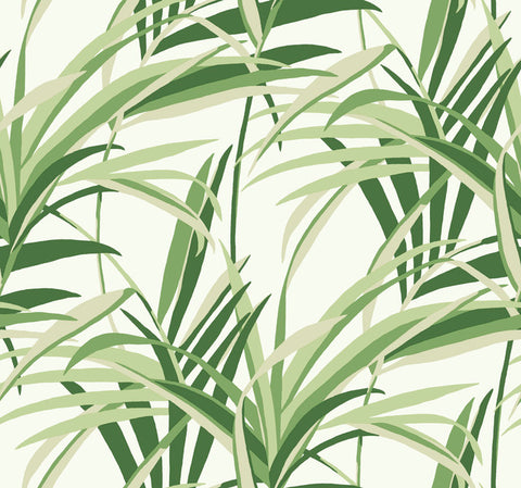 TC2601 Green White Tropical Paradise Wallpaper