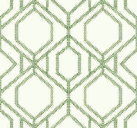 TC2631 Green Sawgrass Trellis Wallpaper