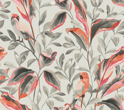 TC2652 Gray Tropical Love Birds Wallpaper