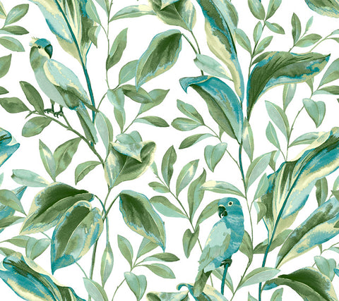 TC2654 White Aqua Tropical Love Birds Wallpaper