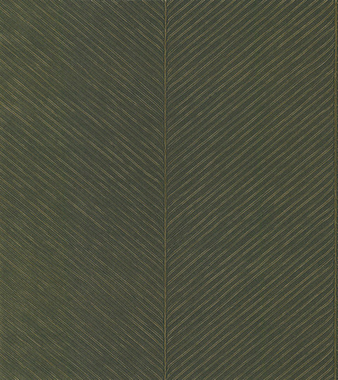 TC2693 Green Gold Palm Chevron Wallpaper