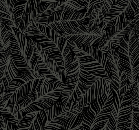 TC2712 Black Rainforest Canopy Wallpaper