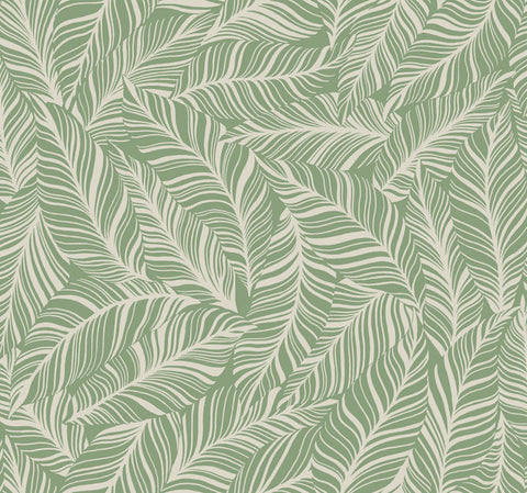 TC2717 Green Rainforest Canopy Wallpaper