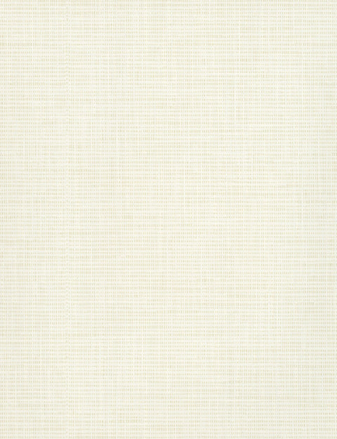TD1050N White/Off Whites Hessian Weave Wallpaper