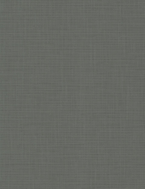 TD1053N Blacks Hessian Weave Wallpaper