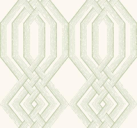 TL1913 Green Ettched Lattice Wallpaper