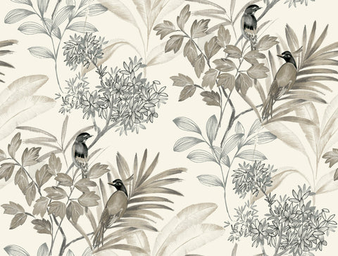 TL1927 Gray Handpainted Songbird Wallpaper