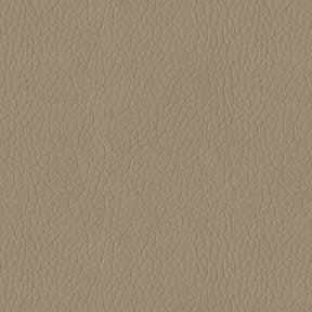 Turner 3948 Taupe Fabric