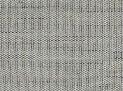 Braxton Platinum Covington Fabric