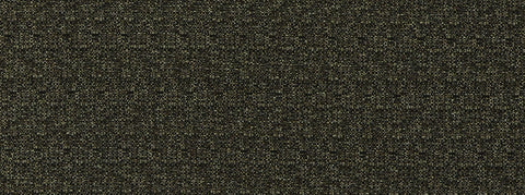 Cha Cha 936 Black Tan Covington Fabric