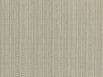 El Paso 118 Sandstone Covington Fabric