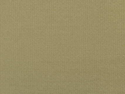 Komodo Sand Covington Fabric