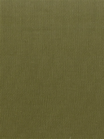 Pebbletex Sage Green Covington Fabric