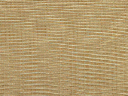 Piazza Backed Raffia Covington Fabric