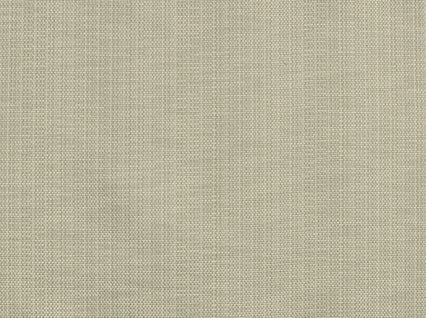 Piazza Backed Vintage Linen Covington Fabric