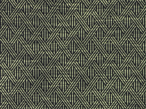 Rory 916 Ebony Ivory Covington Fabric