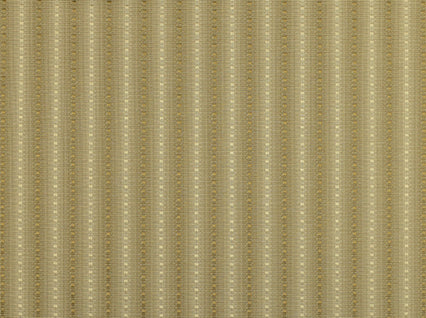 Skylar Kashmir Covington Fabric