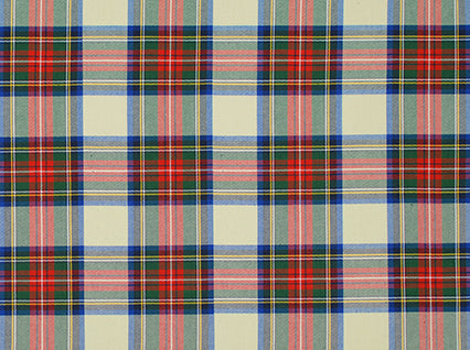 Stewart Dress Multi Covington Fabric