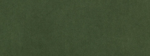 Vitani 297 Windsor Green Covington Fabric