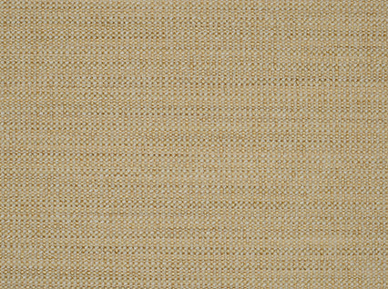 Woodlawn Seashell Covington Fabric