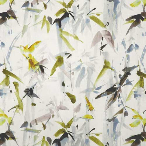 Hummingbird Citron Regal Fabric