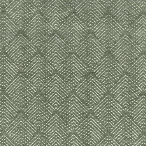 Novel Aloe Regal Fabric