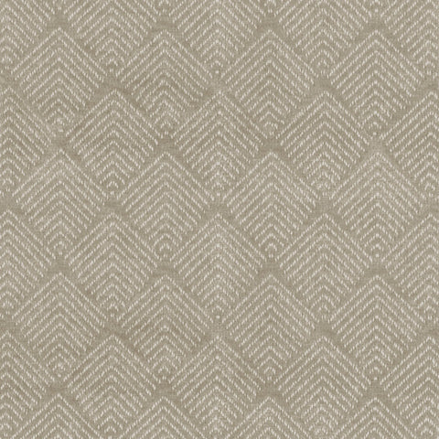 Novel Taupe Regal Fabric