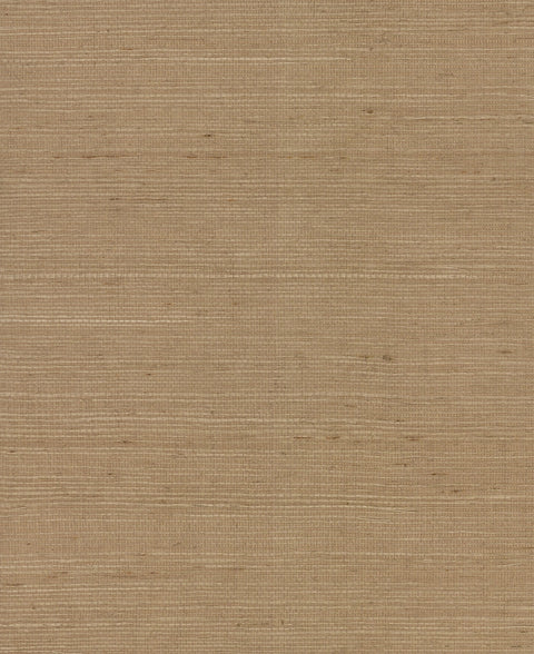 VG4403 Plain Grass Wallpaper (VG4403_B87)