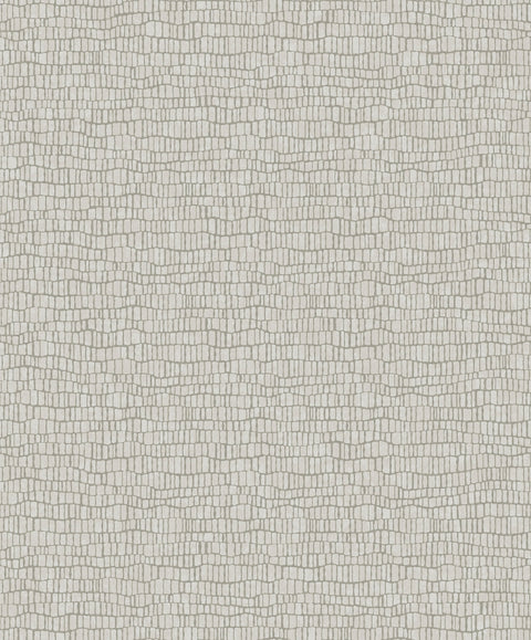Y6230401 Skin Wallpaper
