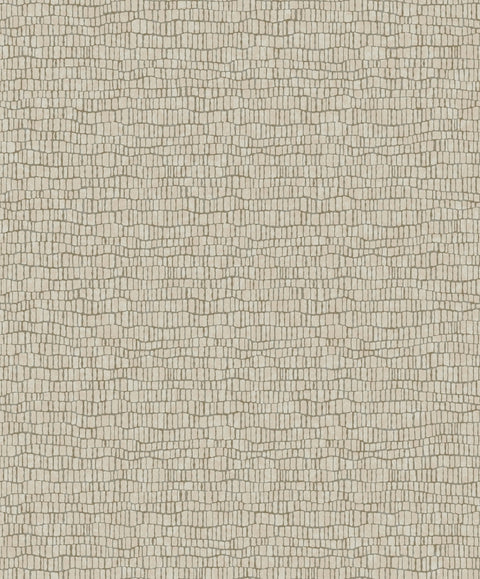Y6230402 Skin Wallpaper