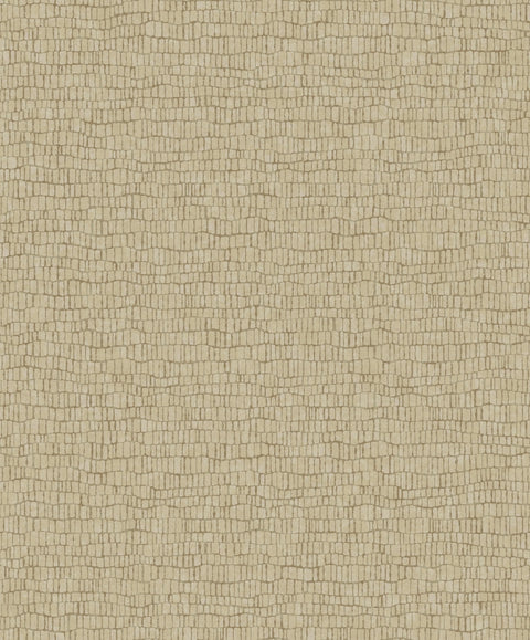 Y6230403 Skin Wallpaper